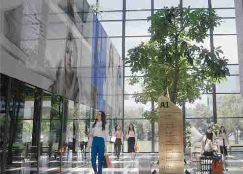 传奇国际光电简介